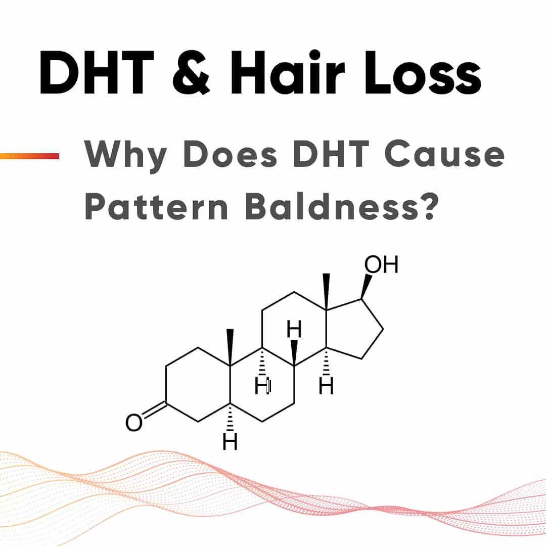 DHT dihydrotestosterone What is DHTs role in baldness