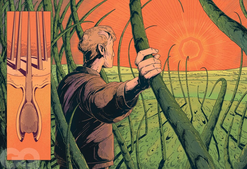From GQ Magazine: A Finasteride Nightmare – Inside the Dark Side of the Hair-Loss Drug