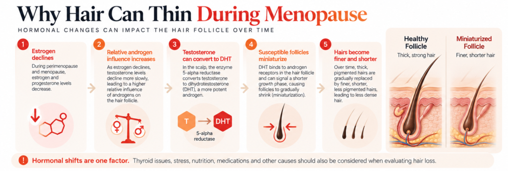 Why Does Hair Thin During Perimenopause and Menopause?